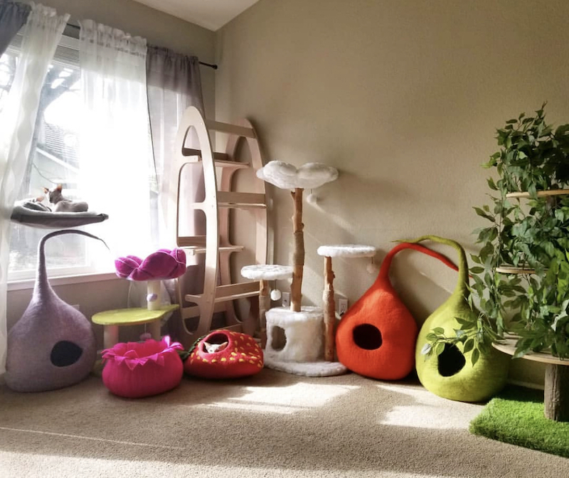 21+ Cat Room Ideas That Will Have You Purring in 2024 Houszed
