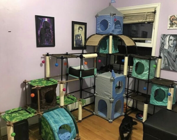 21+ Cat Room Ideas That Will Have You Purring in 2026 | Houszed