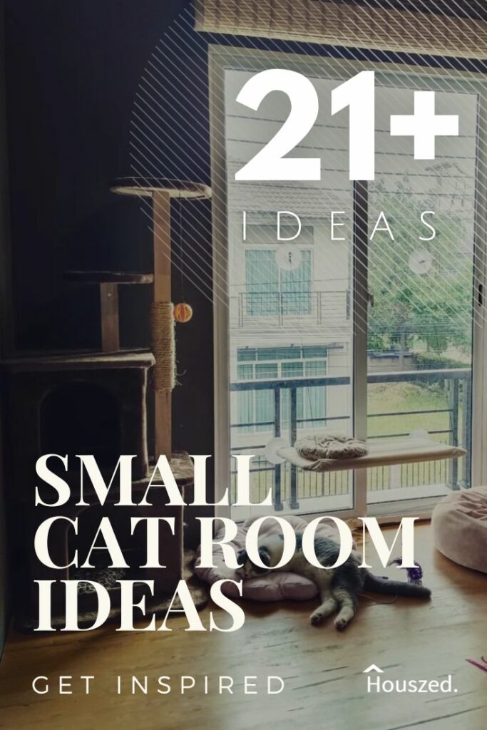small cat room ideas