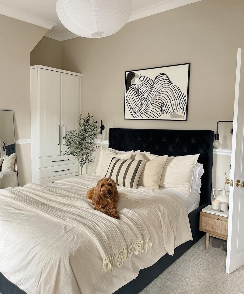 master bedroom wall color ideas