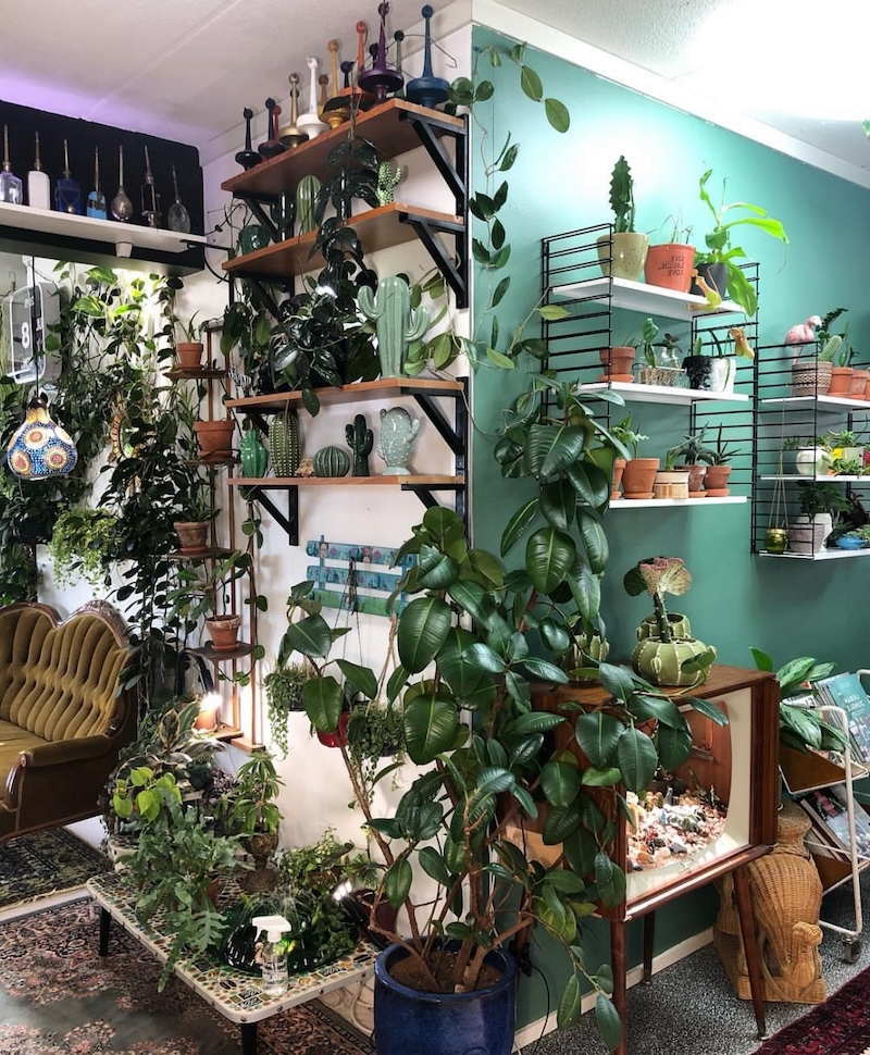 bohemian hallway design