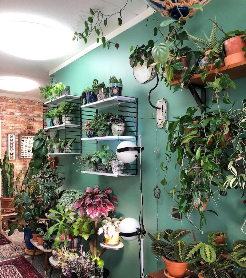 bohemian hallway image